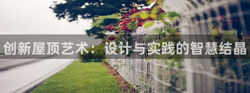 富联娱乐乃六七五一38：创新屋顶艺术：设计与实践的智慧结晶