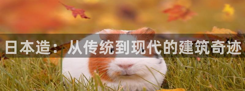 富联娱乐主管是谁判官333OO：日本造：从传统到现代的建筑奇迹