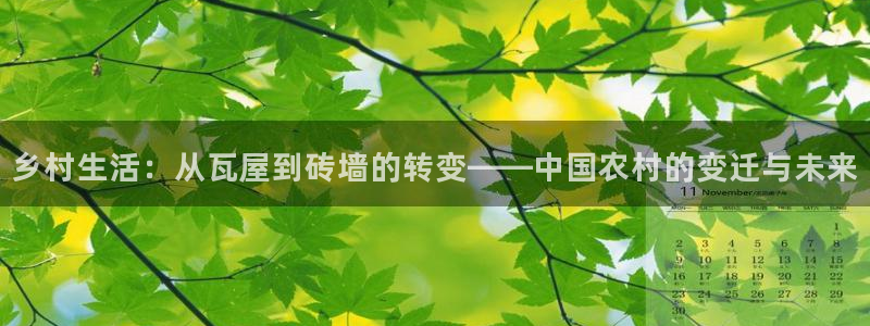 富联娱乐主管就判官333OO：乡村生活：从瓦屋到砖墙的转变——中国农村的变迁与未