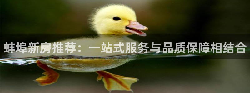 富联娱乐戚少风：蚌埠新房推荐：一站式服务与品质保障相结合