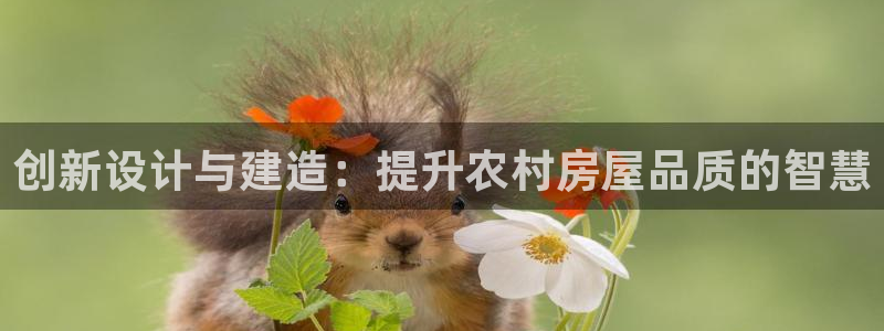 富联娱乐主管前原判官333OO：创新设计与建造：提升农村房屋品质的智慧