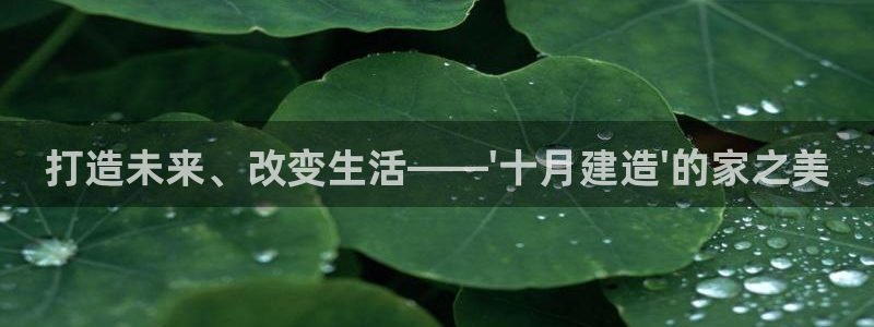 富联娱乐测速登录失败：打造未来、改变生活——\'十月建造\'的家之美