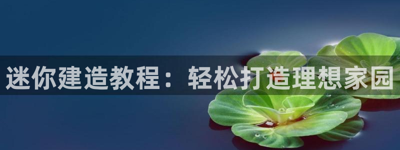 富联娱乐招商监判官333OO：迷你建造教程：轻松打造理想家园