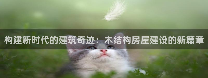 富联娱乐登录：构建新时代的建筑奇迹：木结构房屋建设的新篇章