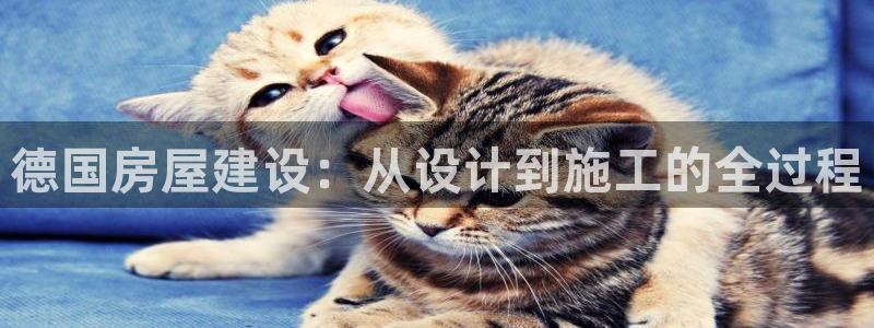 富联娱乐登录链接在哪：德国房屋建设：从设计到施工的全过程