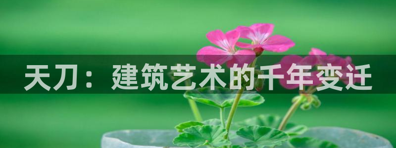 富联娱乐q：天刀：建筑艺术的千年变迁