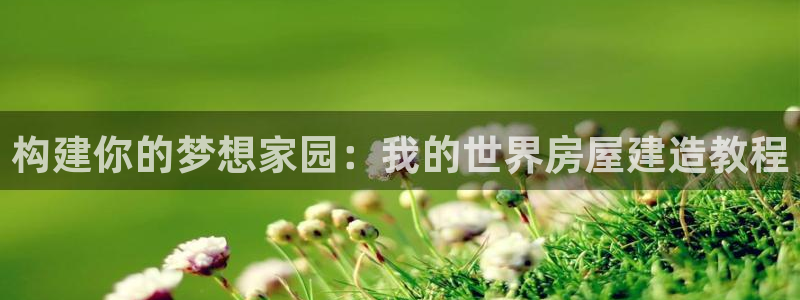 富联娱乐首页登录不了了：构建你的梦想家园：我的世界房屋建造教程