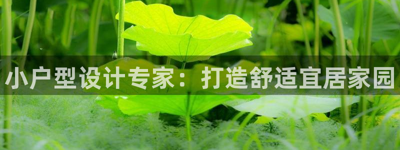 富联娱乐乞六七五一38：小户型设计专家：打造舒适宜居家园