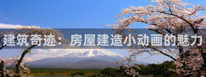 富联娱乐登录链接在哪找：建筑奇迹：房屋建造小动画的魅力