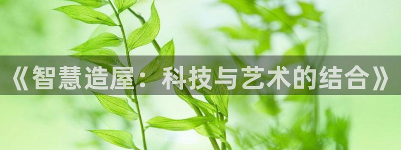 富联娱乐注册登录入口：《智慧造屋：科技与艺术的结合》