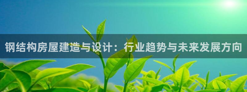 富联娱乐主管是什么职位：钢结构房屋建造与设计：行业趋势与未来发展方向