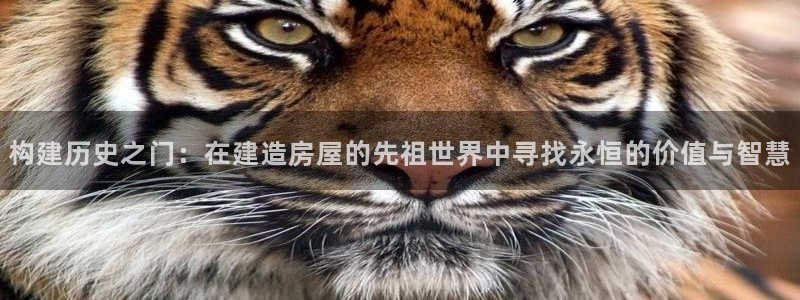 富联娱乐开户：构建历史之门：在建造房屋的先祖世界中寻找永恒的价值与智慧