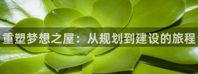 富联娱乐地址：重塑梦想之屋：从规划到建设的旅程