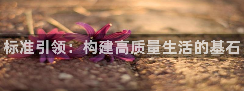 富联娱乐注册计判官333OO：标准引领：构建高质量生活的基石